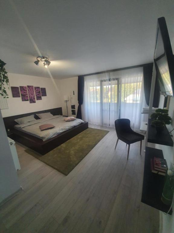 Pensiunea Relax Curtea de Argeş Exterior foto